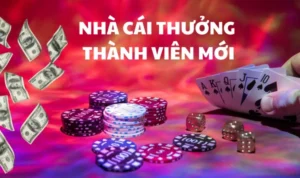 Cách Nhận Thưởng 100% Cho Thành Viên Mới Tại Casino Nhà Cái VN88 9 Cách Nhận Thưởng 100% Cho Thành Viên Mới Tại Casino Nhà Cái VN88
